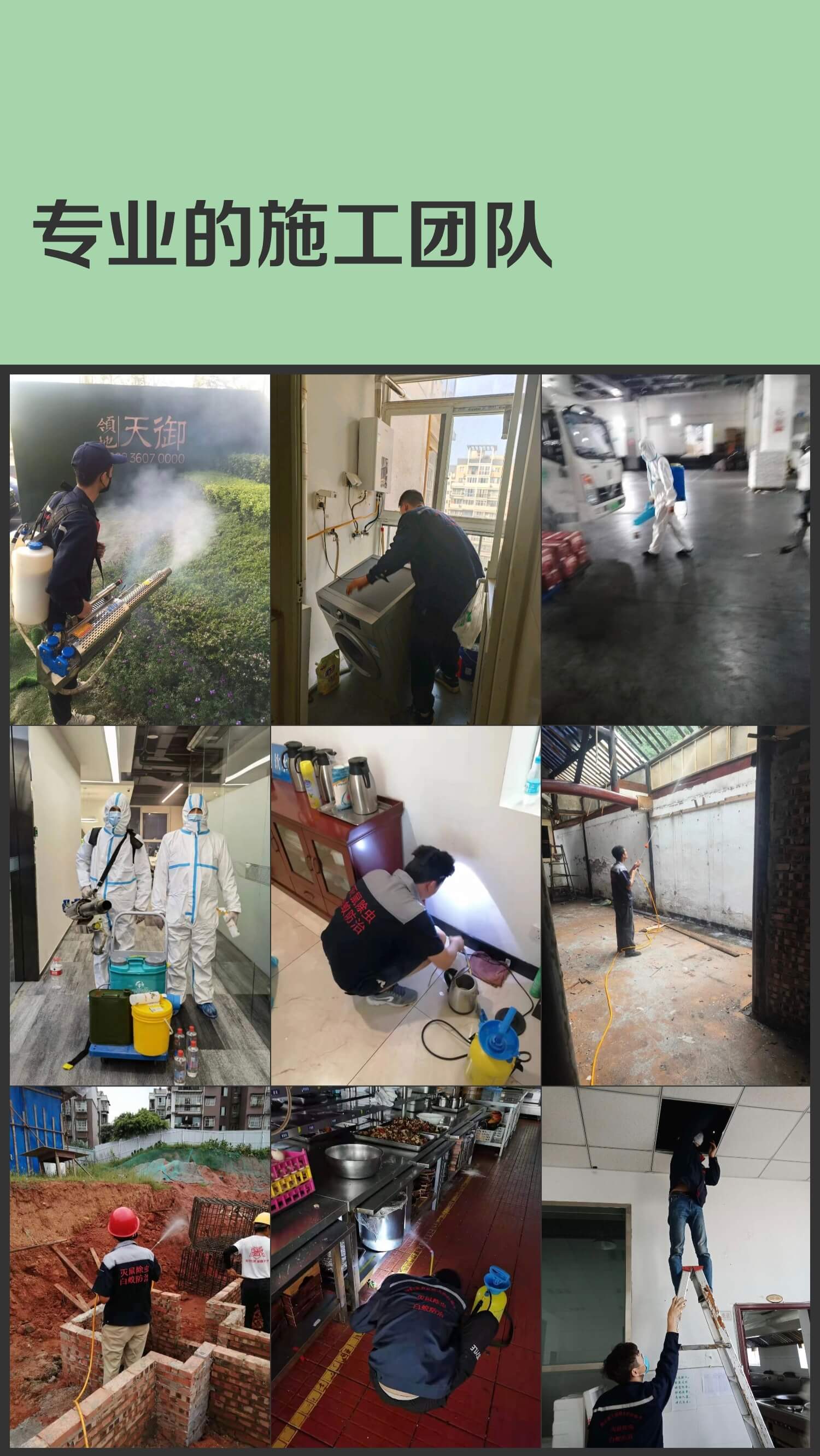 成都本地白蚁防治指南：结合家庭常见虫害知识防虫害