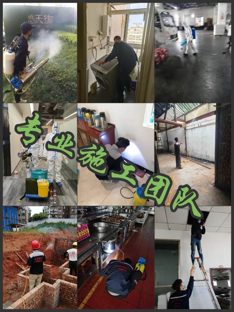 成都商铺老板须知:有害生物防治与白蚁防治实用知识(图2)