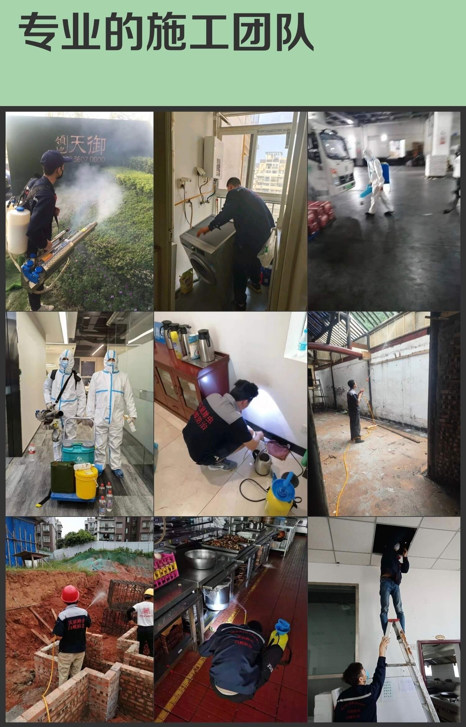 成都本地白蚁防治指南:结合家庭常见虫害知识防虫害(图1)