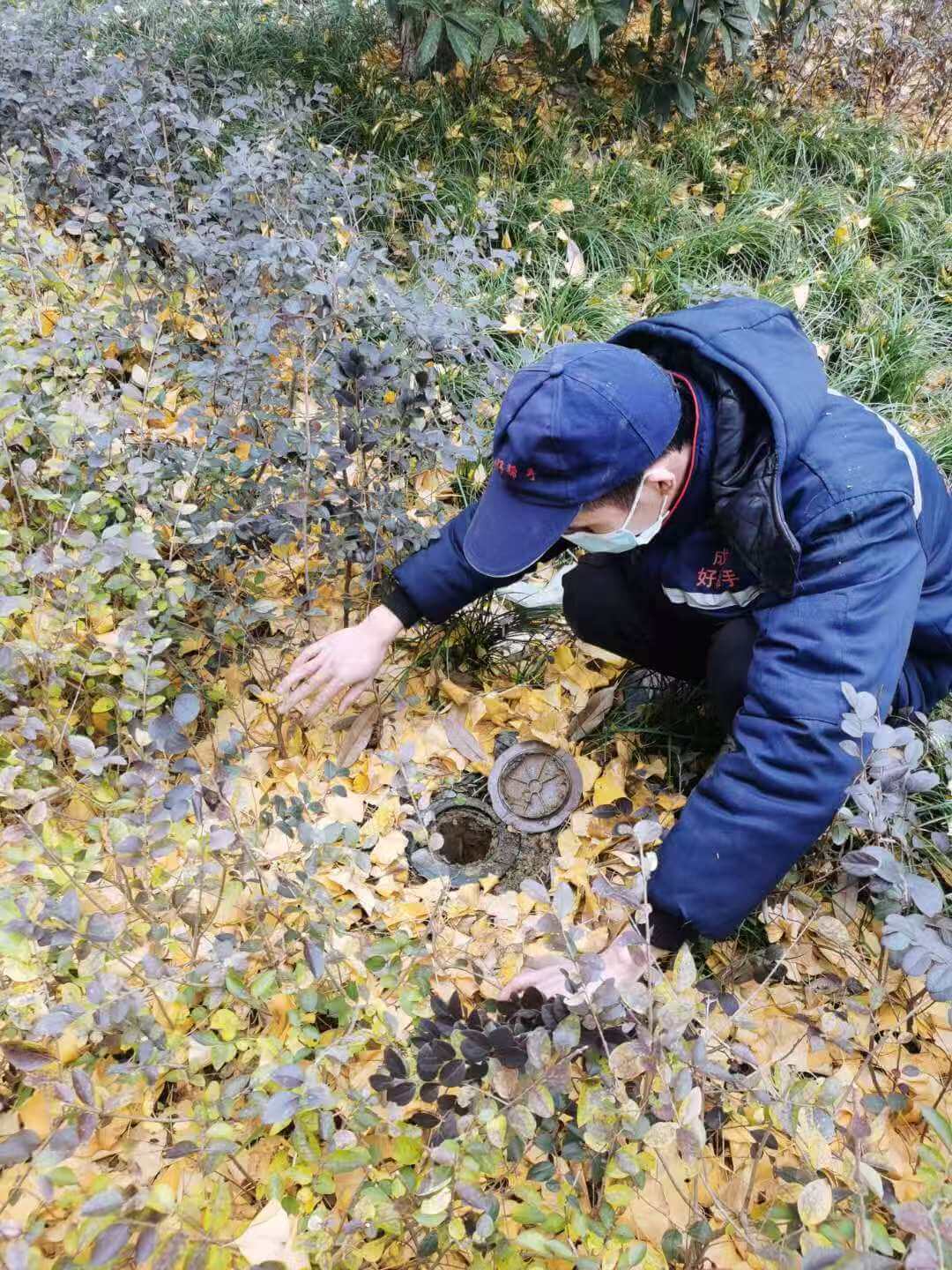 成都业主必看:本地白蚁防治服务,专业除虫灭鼠保家居(图1)