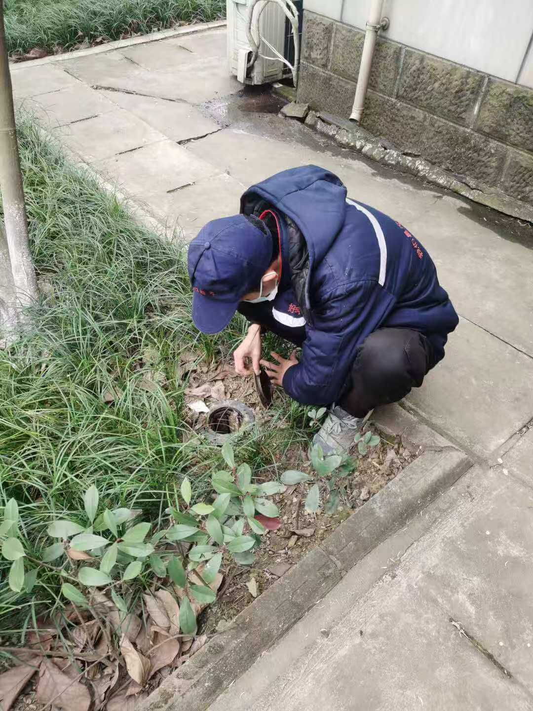 双流区白蚁防治服务流程，成都除白蚁公司新房商铺预防灭治指南