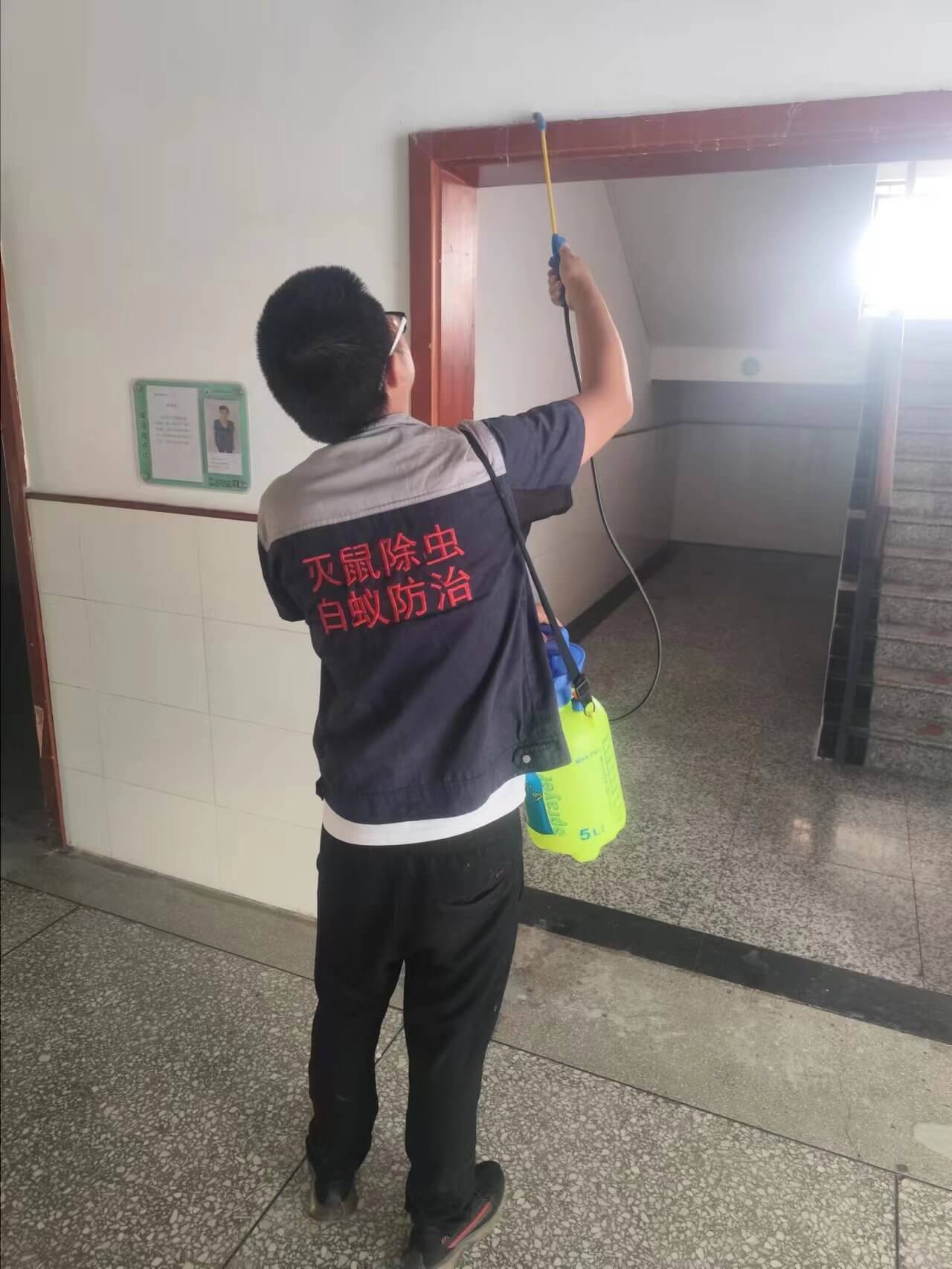 资阳安岳县白蚁防治服务全流程剖析——从虫害识别到灭治施工守护商铺与公共设施安全