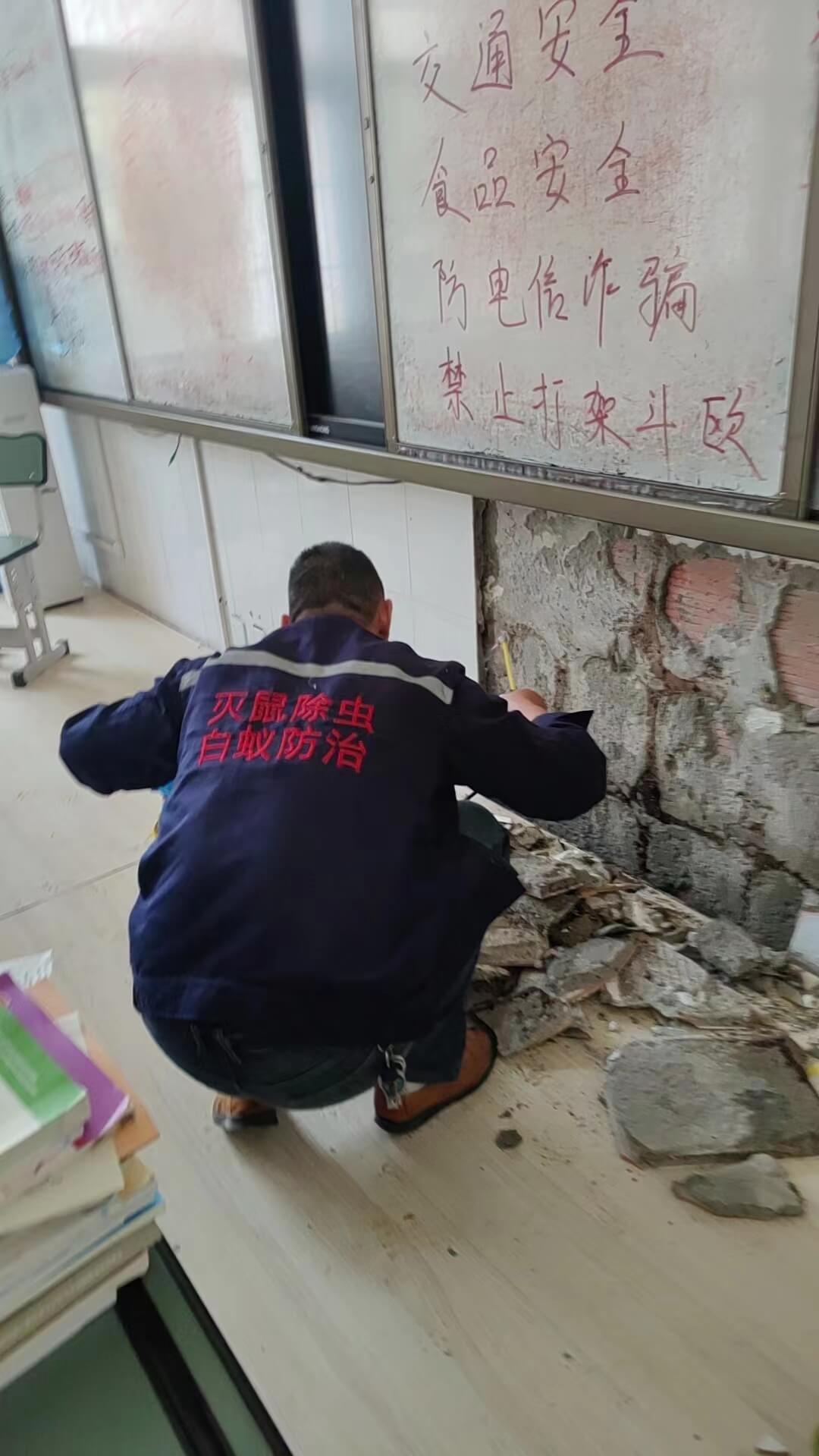 成都新都区白蚁防治服务长效防护——老旧小区、新建厂房白蚁预防施工与定期检查指南
