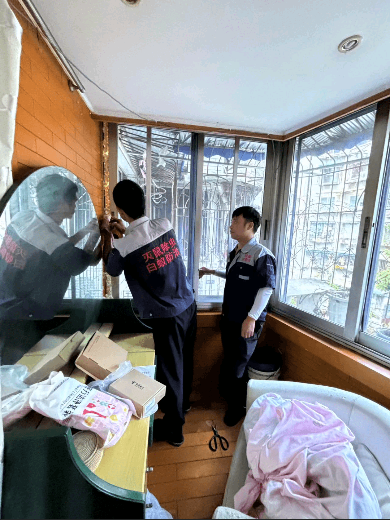 成都锦江区商铺灭鼠服务推荐,专业白蚁防治与有害生物综合治理方案