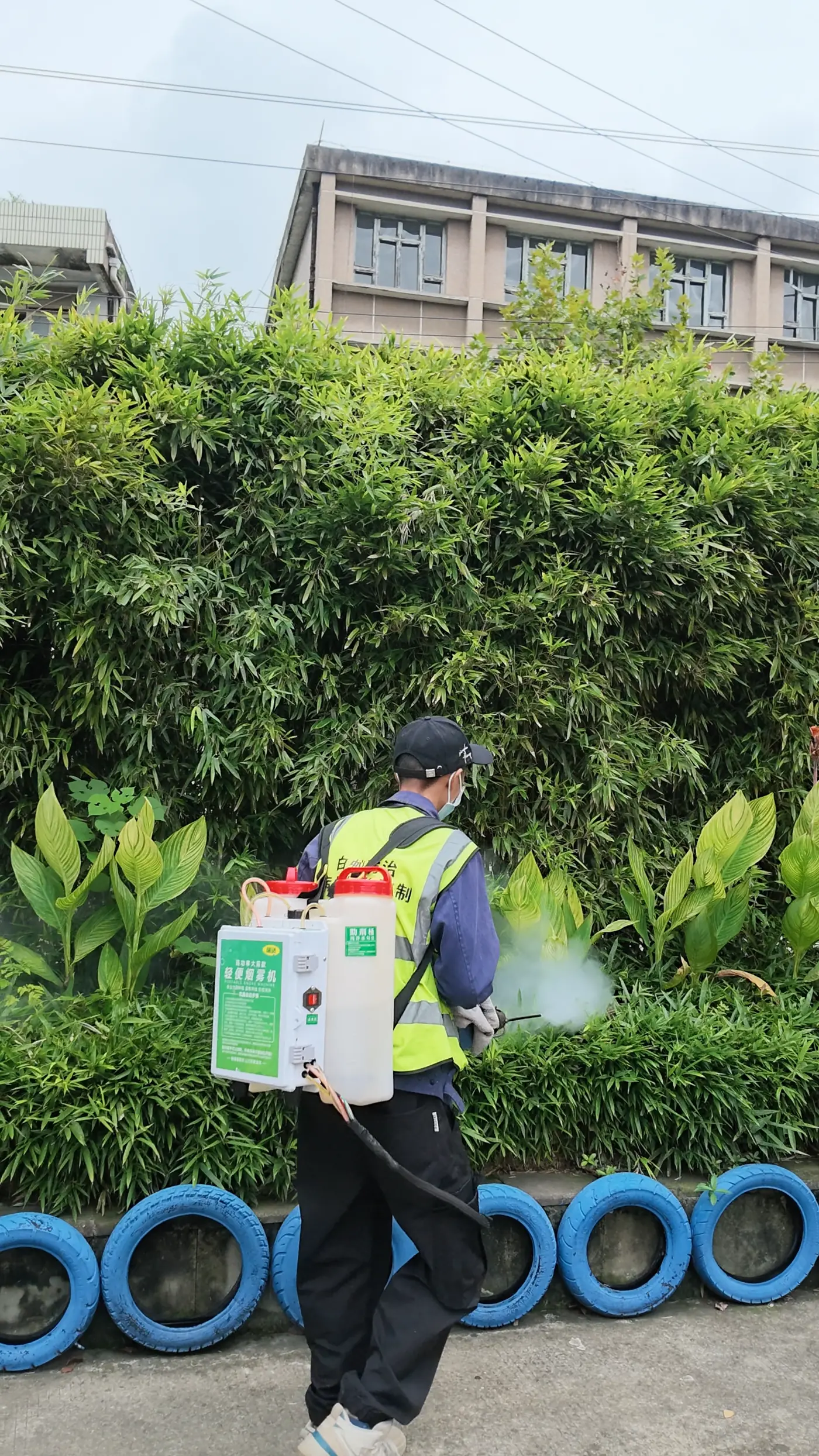 阳台角落那个漏斗网是谁织的:成都家庭常见户蛛的识别、驱避与清除清单(图2) 阳台角落那个漏斗网是谁织的:成都家庭常见户蛛的识别、驱避与清除清单(图2)