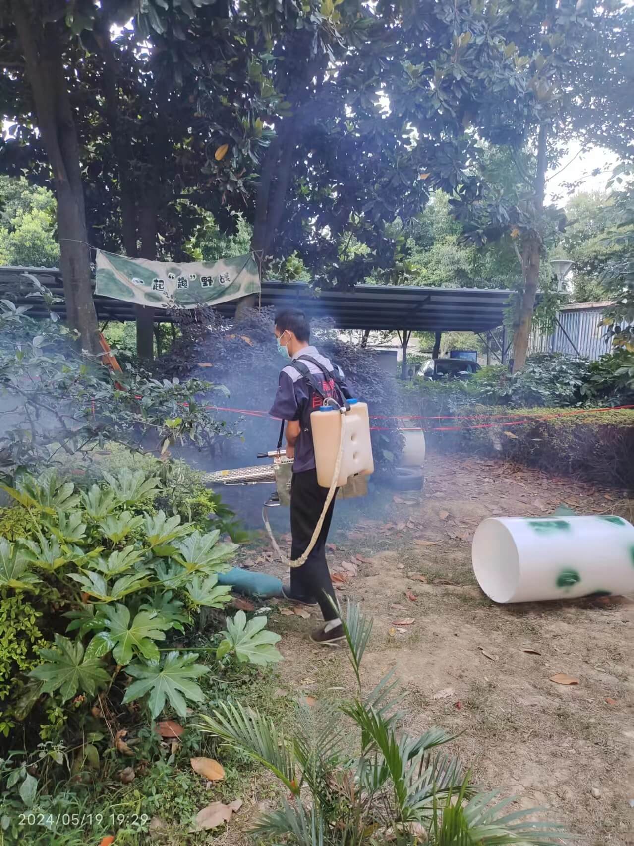 成都青羊区专业蚊虫消杀公司酒店医院学校灭蚊虫施工