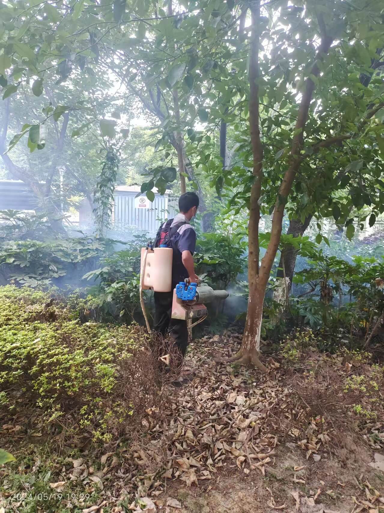 成都金牛区灭蚊蝇|商场餐馆工厂蚊虫消杀方案(图1) 成都金牛区灭蚊蝇|商场餐馆工厂蚊虫消杀方案(图1)
