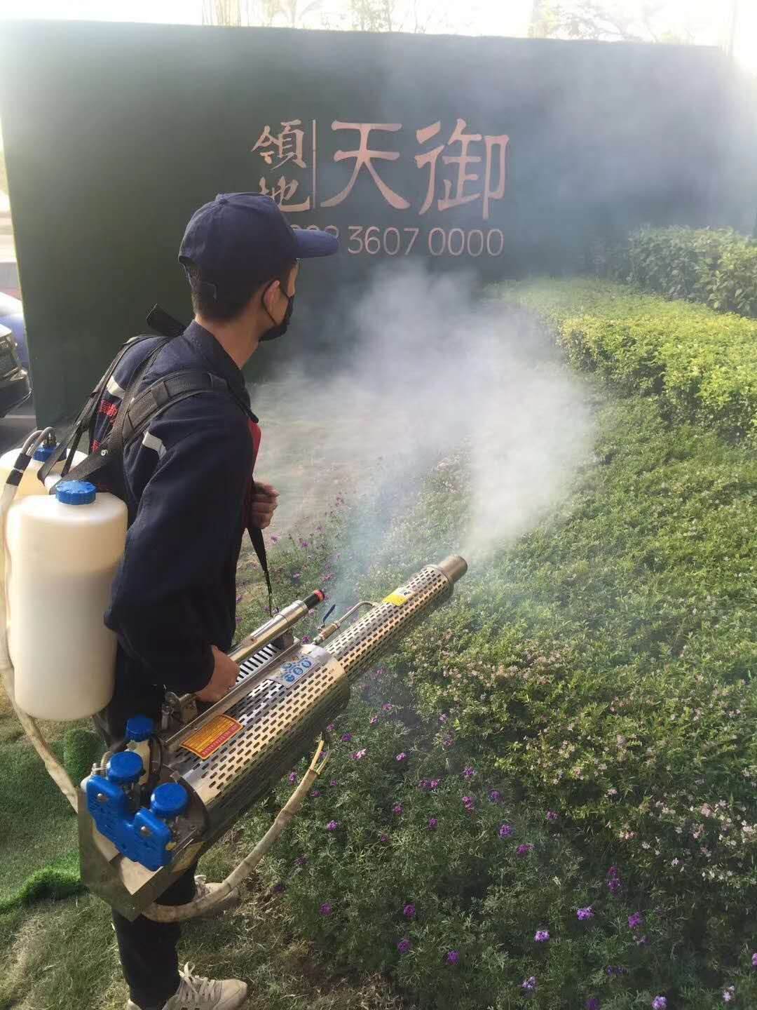 成都锦江区蚊虫消杀服务小区商铺工厂上门灭蚊虫