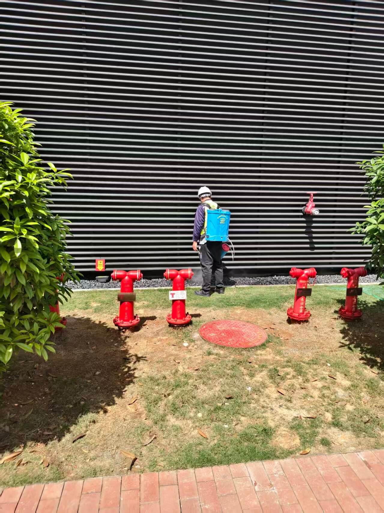 资阳雁江区蚊虫消杀服务学校医院工厂上门灭蚊虫