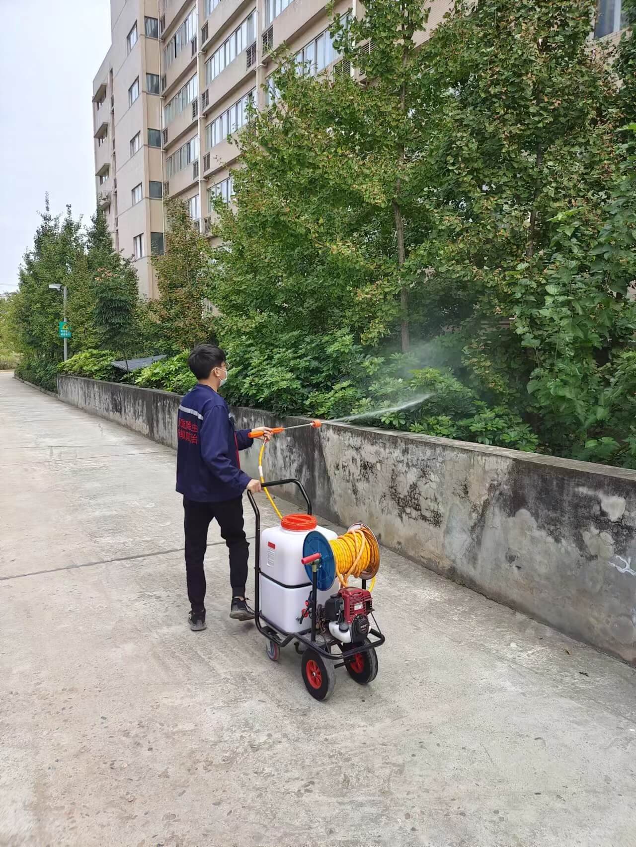 眉山仁寿灭蚊蝇：商铺仓库长效消杀，解决虫害困扰(图1)