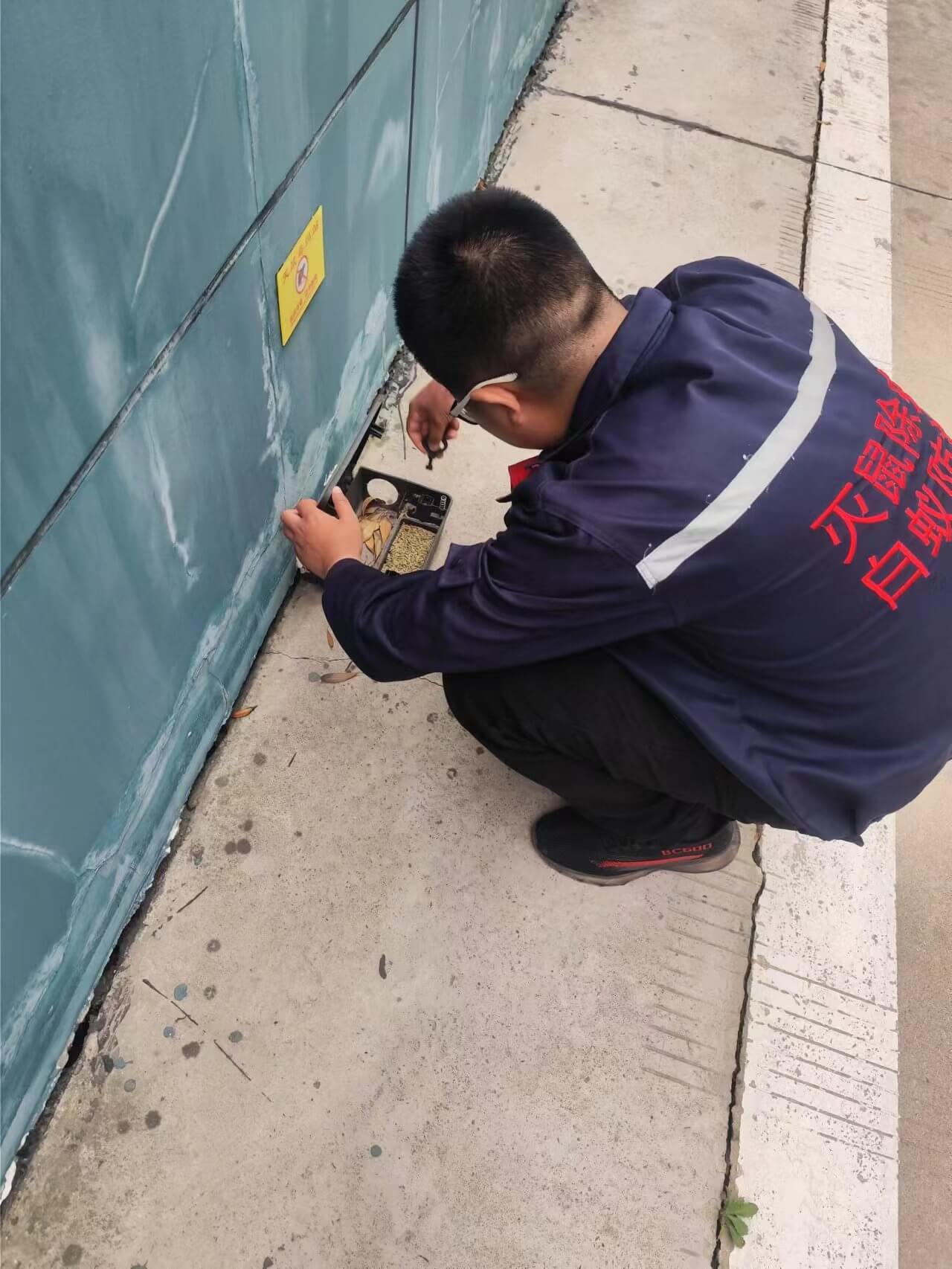 成都钦竹环保_资阳雁江区工厂车间宿舍灭蟑螂推荐(图1)